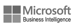 Microsoft Business Intelligence